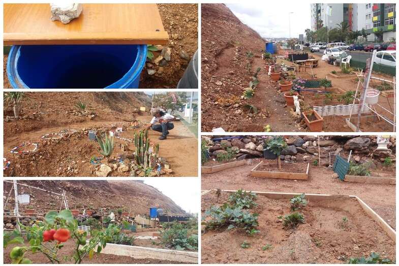 Huerto urbano de la calle de Manuel Alemán (Foto TA)